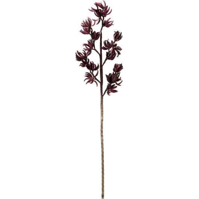 Dendrobium - Deko Orchidee