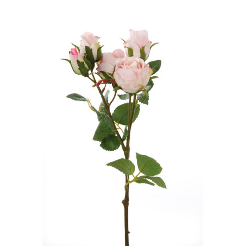 Rosenzweig Nina rose Blüten täuschend echt aussehend