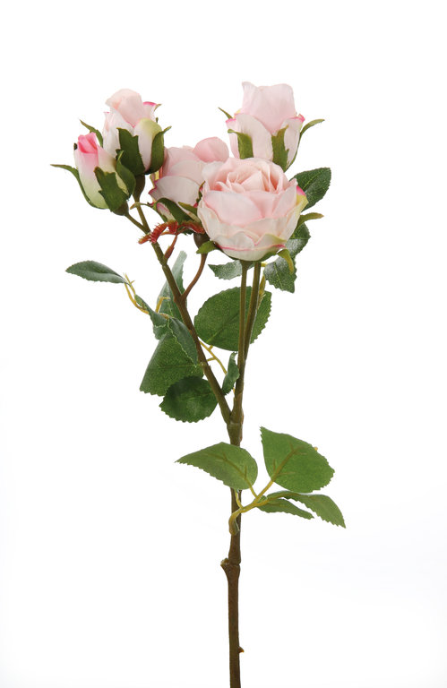 Rosenzweig Nina rose Blüten täuschend echt aussehend