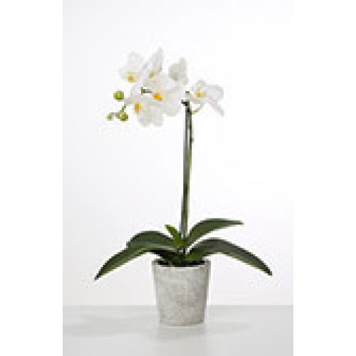 Deko Orchidee im Topf weiß