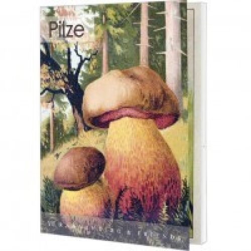 Pilze - Postkartenbuch Rannenberg