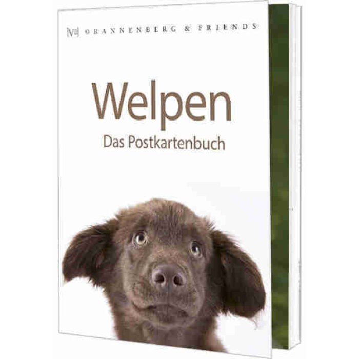 Welpen - Postkartenbuch