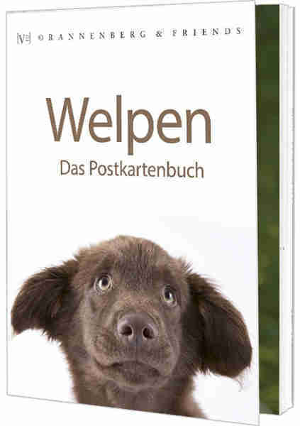Welpen - Postkartenbuch