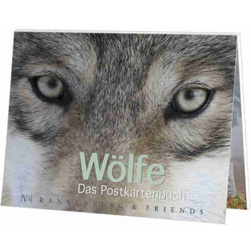 Wölfe - Postkartenbuch