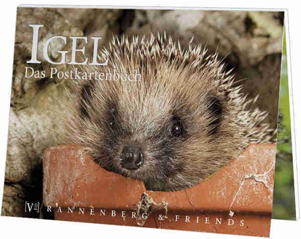 Igel - Postkartenbuch
